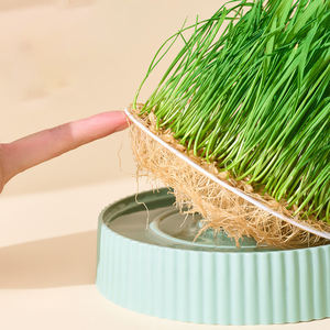 Kit de culture hydroponique minimaliste écologique de haute qualité Yun pour herbe à chat avec trou de drainage, pack de culture sans terre pour friandises à la catnip - Product Image 5