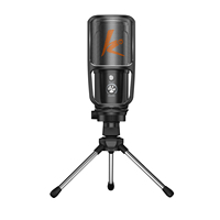 Mini microphone filaire pour ordinateur de bureau, microphone pour PC