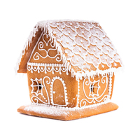 Boîte cadeau en gros avec biscuits maison en pain d'épices de Noël à faire soi-même, délicieux biscuits à la saveur de gingembre