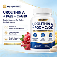 Capsules Antioxydantes Urolithin PQQ CoQ10 Marque Blanche Formule Personnalisée Complément Anti-Âge Sain OEM/ODM Qualité Alimentaire 60 Gélules