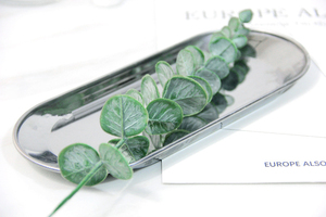 <span class=keywords><strong>Hojas</strong></span> artificiales decorativas <span class=keywords><strong>de</strong></span> eucalipto <span class=keywords><strong>para</strong></span> arreglos florales y decoraciones <span class=keywords><strong>de</strong></span> boda, venta al por mayor - Product Image 4