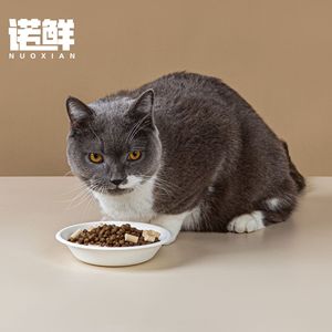 Bol de nourriture pour chats sans BPA, en papier biodégradable épaissi, pour chats et chiens errants - Product Image 1