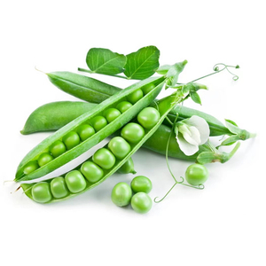 卸売供給 直接販売 高品質 高純度 エンドウ豆プロテインパウダー 食品用 - Product Image 2