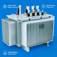 Transformateur de distribution triphasé immergé dans l'huile de 125 kVA |   60Hz ANSI/IEEE |   Transformateur monté sur socle pour sous-station industrielle américaine