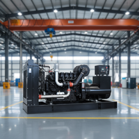 Générateur Diesel Industriel 250 kVA 200 kW Type Ouvert Sans Balais 100% Fil de Cuivre pour Centrale Électrique Usine 480V ATS