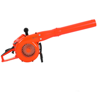Souffleur à essence portatif 58cc 2KW haute puissance, souffleur à neige, extincteur forestier EB5800