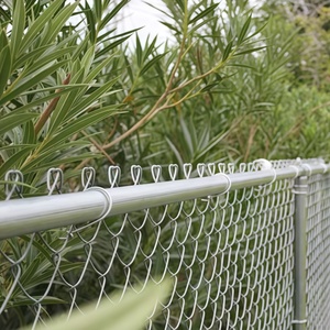 Rollos de Malla de Alambre Galvanizado por Inmersión en Caliente (6 pies, 10 pies) |   Puerta Batiente de Doble Hoja para Vehículos - Product Image 6
