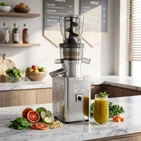 Commerciële slowjuicer, koudgeperste fruit- en groentesapcentrifuge, sapseparatiemachine voor groothandel