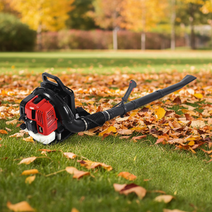 เครื่องเป่าลมอุตสาหกรรมคุณภาพสูง TOPWE 52 ซีซี เครื่องเป่าลมเบนซิน 2 จังหวะ สำหรับเก็บใบไม้ - Product Image 1