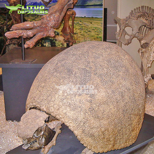 Scheletro di Glyptodon a Grandezza Naturale, Epoca Preistorica della Era Glaciale, in Vendita - Product Image 5