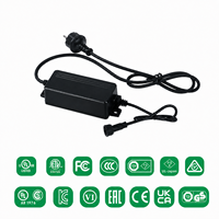 Adaptateur secteur AC/DC 75W écologique, logo OEM personnalisé, étanche IP67, 48V 5A, prise EU, adaptateur secteur