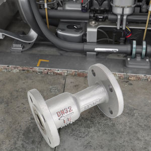 <span class=keywords><strong>Clapet</strong></span> <span class=keywords><strong>anti</strong></span>-<span class=keywords><strong>retour</strong></span> des <span class=keywords><strong>eaux</strong></span> <span class=keywords><strong>usées</strong></span> verticales en acier au carbone de la Chine - Product Image 2