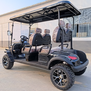 Voiturette de <span class=keywords><strong>golf</strong></span> haute performance à <span class=keywords><strong>crémaillère</strong></span>, électrique au lithium, 2 places, avec congélateur, de luxe, pour complexes hôteliers et hôtels - Product Image 2
