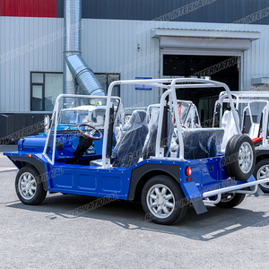 Auto Eléctrico Moke Clásico Mini, Homologado para Circular por la Calle, Ideal para Viajes Turísticos, con Certificación CE, 96V, 70km/h, Autonomía de 90km, 3-4 Plazas, Gran Venta - Product Image 4