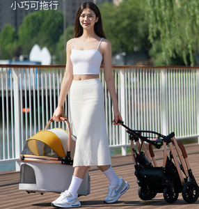 Poussette de luxe pour animaux de compagnie, 4 roues, pour l'extérieur, détachable, pas cher, pour petits chiens - Product Image 3