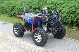 Fabricante de Buggies Eléctricos Todoterreno, Go Karts, Vehículos para Conducir Junto a la Playa, en Venta - Product Image 2