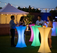 Barre LED étanche IP65 à 16 couleurs avec télécommande IR pour ferme, supermarché, boîte de nuit, hôtel, centre commercial, salle de sport, événements et entrées