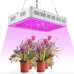 Lampe de culture LED à prix d'usine pas cher ou lampes de culture UV pour la culture en intérieur, lampes de culture 200W, délai de livraison rapide - Product Image 2