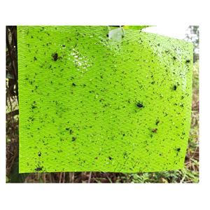 Trampa adhesiva profesional Mosca de la fruta cítrica para el control de plagas de la agricultura - Product Image 1