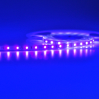 SMD 2835 led bande lumineuse 60 leds par mètre bleu 12V LED pour l'éclairage de décoration de vacances de salon