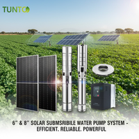 Pompe solaire submersible pour puits profonds, robuste, 6 pouces, 8 pouces, 300VDC, 540VDC, système de pompe solaire triphasé