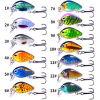 Ensemble de 13 leurres de pêche miniatures Crankbait, 2,5 cm, 1,5 g, kit d'appâts artificiels durs, leurres oscillants pour la pêche en eau douce, au bar, à la truite et à la perche