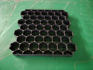 Estabilizador de Suelo para Áreas Ecuestres, Sistema de Control de Lodo HDPE, Rejilla para Césped de 50 mm de Altura, Resistente a los Rayos UV, Vida Útil de Más de 20 Años - Product Image 3