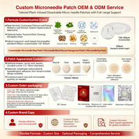Patch de gestion du glucose microcristallin en gros, soutien transdermique à base de feuilles de mûrier Cyclocarya pour le sucre dans le sang, 9 pièces