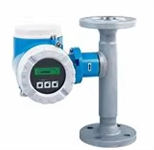 Débitmètre massique thermique E+H 65F haute performance et de qualité supérieure - Product Image 2