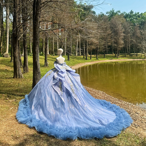 Robe de soirée longue moderne et élégante bleue, style robe de bal, en <span class=keywords><strong>dentelle</strong></span>, avec sequins et perles, pour Quinceañera, fabriquée aux États-Unis - Product Image 5