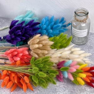 Suministro Directo de Fábrica, Flores Secas, Flores para Joyería, Hierba de Phalaris, para Decoración del Hogar y Bodas - Product Image 3