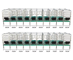 Domuz Gestation kasalar kalem kolay kurulum Sow Gestation durak 70cm genişlik Sow gebelik kafesi - Product Image 1
