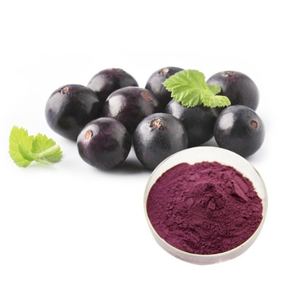 Cung cấp chất lượng cao <span class=keywords><strong>Acai</strong></span> Berry chiết xuất mẫu miễn phí Hữu Cơ <span class=keywords><strong>Acai</strong></span> Berry chiết xuất giá tốt nhất để bán - Product Image 5