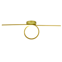 Plafonnier LED moderne OEM pour chambre et salon, éclairage décoratif intérieur en bande longue, base en fer, lumière du jour 6000K, 20000 heures, IRC80