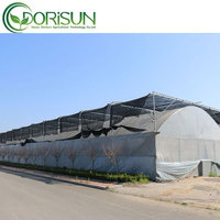 Serre Agricole Intelligente 30x96m Tunnel Culture Système Hydroponique Structure de Serre
