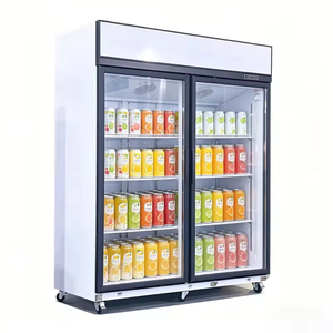 Réfrigérateur commercial à double porte avec compresseur monté en haut, réfrigérateur vertical pour boissons - Product Image 1