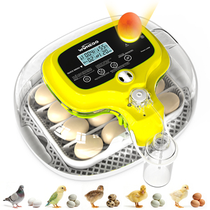 Incubateur à œufs de poulet WONEGG M16 Pro avec contrôle de <span class=keywords><strong>l</strong></span>'humidité et bouteilles de remplissage d'<span class=keywords><strong>eau</strong></span> - Product Image 3