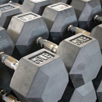 Nantong Fitness Gym 20 Lb Hex Dumbbells Sepasang 15 kg Karet & Logam Anti-Selip Logo Kustom Untuk Penggunaan di Rumah Latihan Otot Lengan