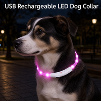 Collar Luminoso Recargable para Perro con Luces LED, Carga USB, Correa de PVC Resistente