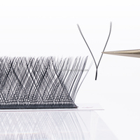 DAMMAN YY Lashes 0.04 C D Curl 8-15mm Y Shape Classic Lashes Double Tips 2D Volume Cils pour une utilisation en salon