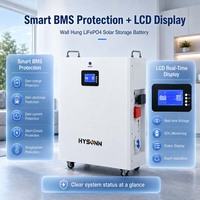Batterie de stockage solaire murale Hysonn 11,77 kWh 51,2 V 230 Ah LiFePO4 pour installateurs européens, alimentation de secours pour onduleur hybride