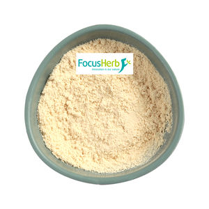 Extracto De Seta Maitake en polvo FocusHerb US almacén stock - Product Image 2