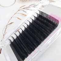Extensions de cils en soie individuelles effet volume intense, courbure C et D, finition mate, 8-25mm, plateaux de cils en cachemire