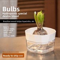 Pot de fleurs transparent auto-arrosant respirant pour bulbes, idéal pour la culture hydroponique de tulipes, lys et jacinthes