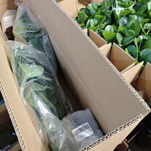 <span class=keywords><strong>Jardin</strong></span> de mariage Sagou Cycas plantes en pot arbre bonsaï artificiel pour la maison bureau vitrine <span class=keywords><strong>d</strong></span>écor intérieur - Product Image 4