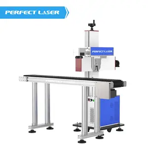 Nastro trasportatore perfetto su misura al Laser 30w/50w penna Laser fibra ottica incisore