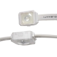Lampes LED à points étanches IP68 à haute efficacité énergétique pour la décoration de Noël en extérieur et l'éclairage paysager