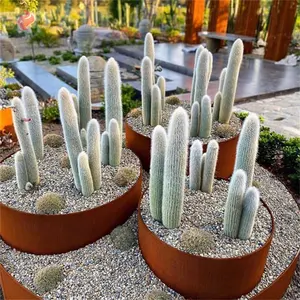 Corten-Bordes de acero para jardín, valla oxidada