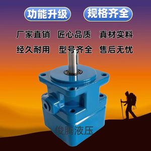 Starcore Yb1 Hydraulic Pump 2.5-200 Fixed Displacement Vane Pump For Low Medium Pressure Grinding <b>Sawing</b> Machines - Product Image 4