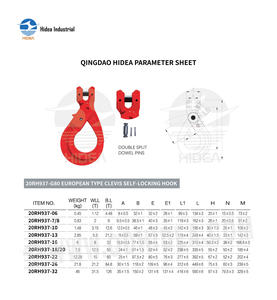 <span class=keywords><strong>Gancio</strong></span> di Sicurezza Autobloccante G80 in Acciaio Superlegato Forgiato Tipo Europeo con Chiusura EN818-2 per Catena G80 per Industria Pesante - Product Image 6